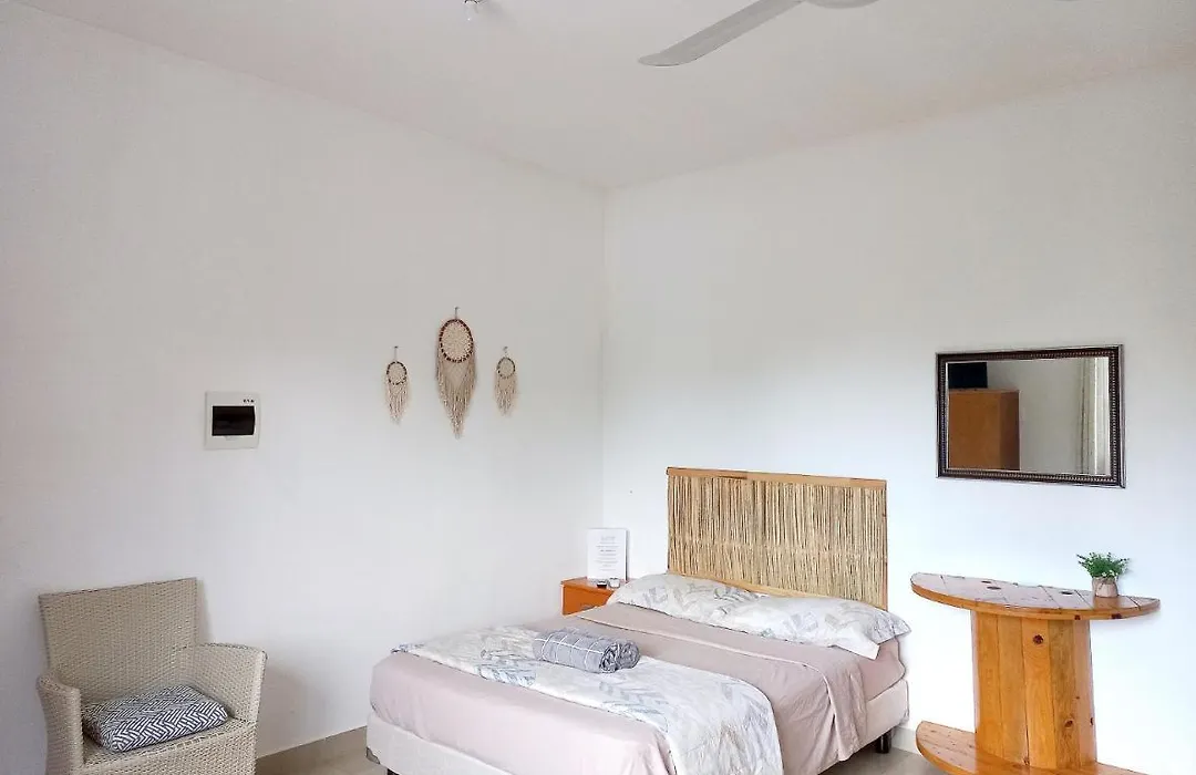 Cozy Estudios 50.1-1