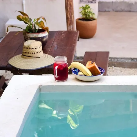 Casa Del Artista - B&B-2