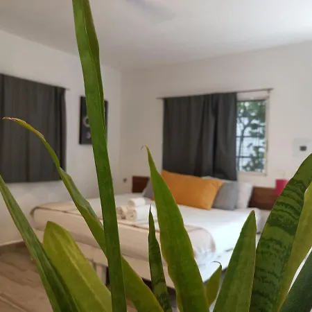 Kika Studios-2