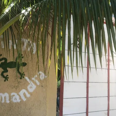 Quinta Salamandra-3