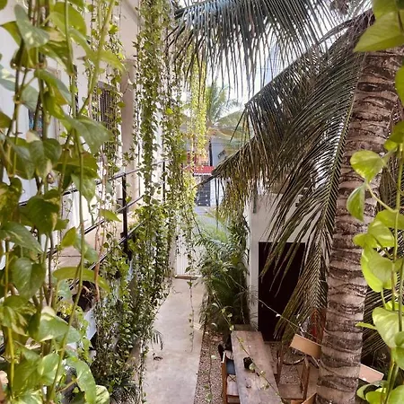 Anana Coliving-2