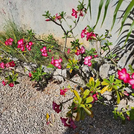 Myoli Wellness & Happiness Bnb-2