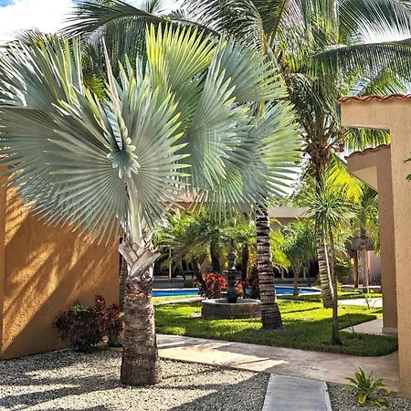 Myoli Wellness & Happiness Bnb-3