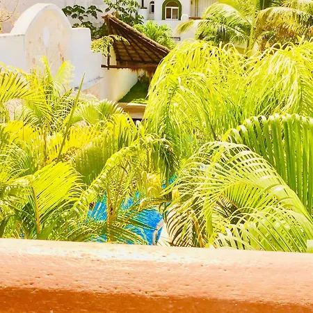 Playacar-2