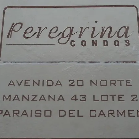 Vida Nueva Bed&Breakfast Peregrina-3